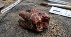Os restos encontrados nos dentes de uma mulher de 4.000 anos atrás podem mudar o que sabemos sobre o consumo de betele na Ásia