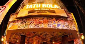 Tatu-bola em família – teatro