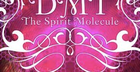 DMT – A MOLÉCULA DO ESPÍRITO – ESTRÉIA NACIONAL !