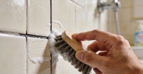 Eu usei vinagre no azulejo e o banheiro ficou brilhando mais que ouro