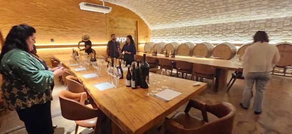 Vinhos produzidos pela  vinícola Arpuro
