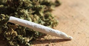 Consumo de maconha junto com álcool eleva níveis de THC no sangue