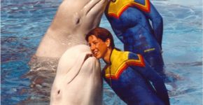 Rede de parques aquáticos Sea World tem vagas abertas nos EUA