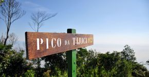 Conheça os trajetos das trilhas da Floresta da Tijuca
