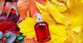 Perfume para o outono: 4 famílias olfativas ideais para a estação