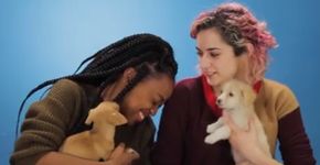 Grupo de garotas bêbadas tem reações bizarras ao verem cachorros fofos