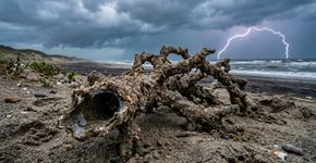 Um raio pode atingir a areia e deixar enterrado um tubo de vidro ramificado que preserva o caminho da descarga elétrica