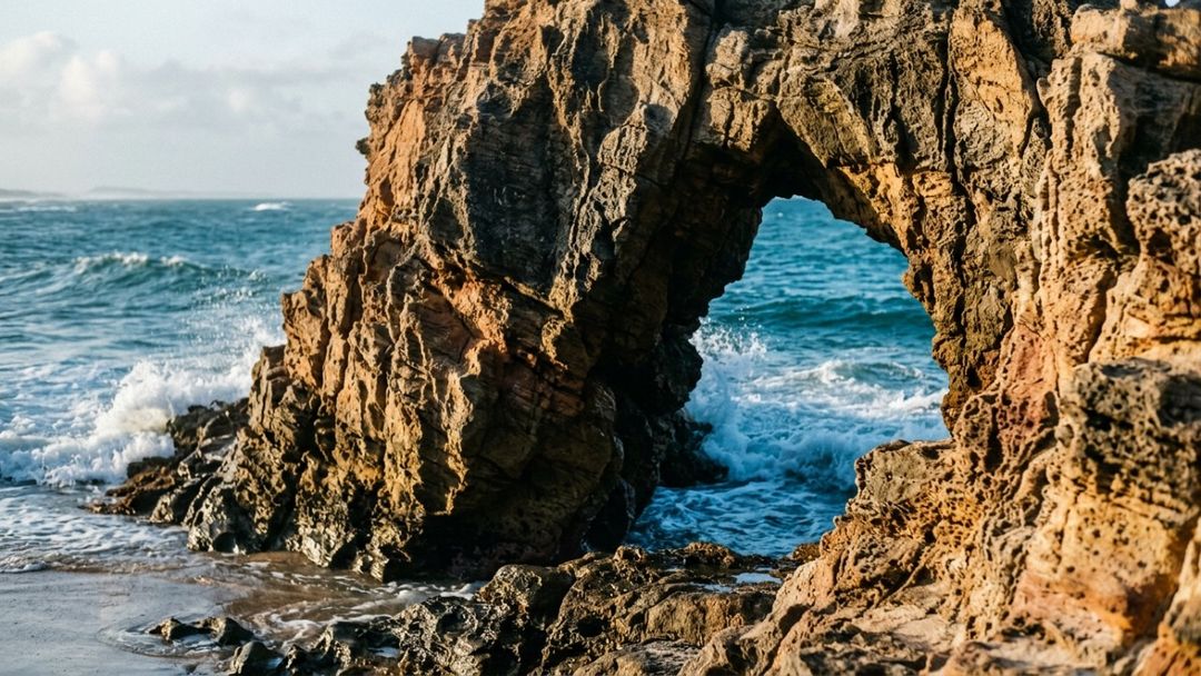 A preservação dos manguezais e da faixa marítima garante o equilíbrio da biodiversidade local.
