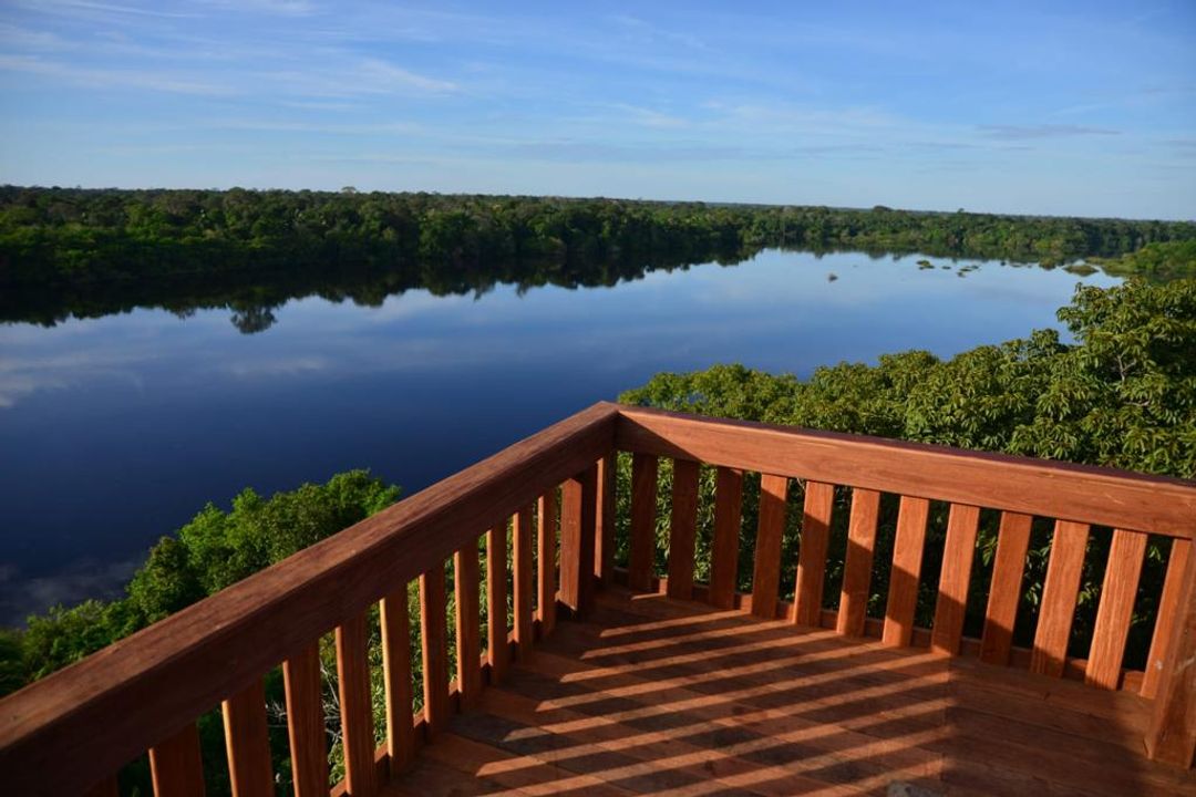 Torre de observação oferece uma vista 360º da floresta amazônica