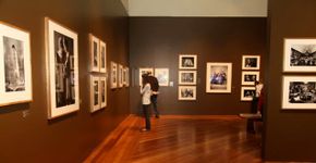 A fotografia dos irmãos Vargas na Pinacoteca