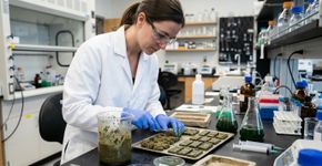 Areia, gelatina e bactérias deram origem a um material de construção vivo em laboratório: o experimento que investiga novas formas de fabricar blocos e incorporar microrganismos à estrutura