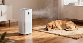 Tenha um ambiente limpo, entenda como funciona o purificador de ar