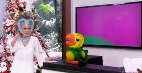Ana Maria Braga usa penas de pavão na cabeça e vira piada