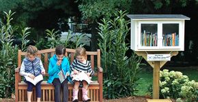 Pequenas bibliotecas em formato de casinha se espalham pelo mundo