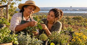 Agricultora aprende a reconhecer plantas do Cerrado com a mãe e as tias, transforma o conhecimento familiar em empreendimento e conquista prêmio em Brasília