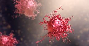 Foto: (iStock/Dr_Microbe)