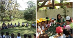 Espaço educativo aproxima crianças da natureza