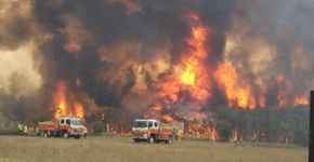 Foto: (FRNSW/Fotos Públicas)