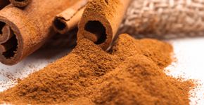 Foto: (iStock/FabrikaCr)