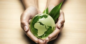 Ministério do Meio Ambiente oferece cursos online gratuitos