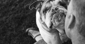 Fotógrafa clica despedida de cães em fase terminal