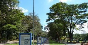 Passeio no Instituto Butantan com cobras, aranhas e escorpiões