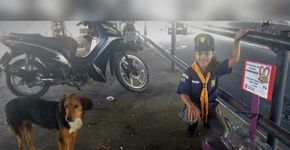 Menina de 7 anos constrói reservatório para animais abandonados