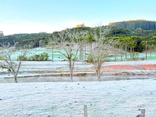 Urubici registra mínima de -3,3°C e amanhece com geada 