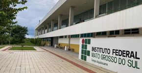 Foto: (Divulgação)