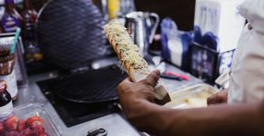 Foto: (Istock/Marcos Elihu Castillo Ramirez)