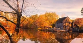 Foto: (Mark Howard/iStock)