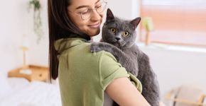 12 nomes perfeitos para gatos sociáveis