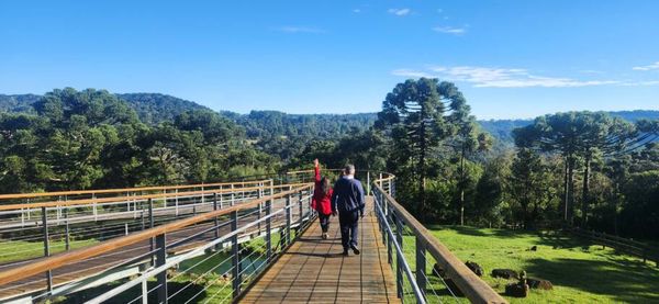 Para quem gosta de aventura, o Ecoparque Cachoeira Papuã é destino ideal