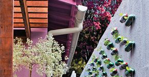 Como fazer um jardim vertical sem gastar muito