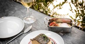 Tudo o que você precisa saber para comer um bom bacalhau em Lisboa
