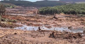 Foto: (Wagner Ribeiro)