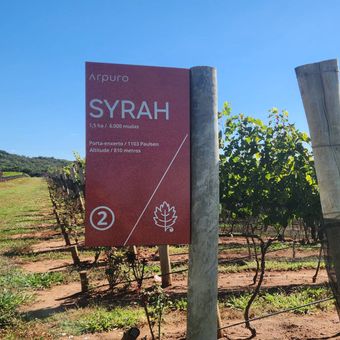 Featured mobile: Entre vinhos e cervejas, Uberaba (MG) oferece novas experiências ao visitante