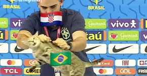 Foto: (Reprodução/Twitter)