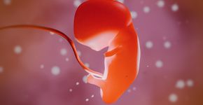 Foto: (iSTock/:CIPhotos)