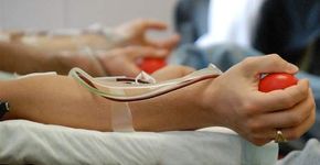 Projeto que busca doadores de sangue concorre a prêmio mundial