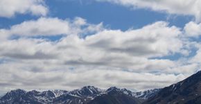 Foto: (Ashley Bilbrey/Pexels)