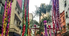 Conheça cidades brasileiras que mantêm tradições japonesas