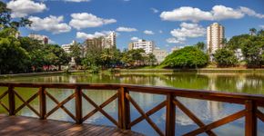 Foto: (Istock/AngelaMacario)