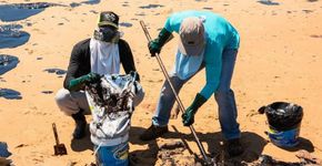 ONG mobiliza voluntários para ajudar na limpeza de praias no NE