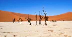 3 dias viajando pelo deserto da Namíbia