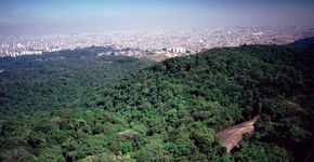 Projeto aprovado na Assembleia de SP prevê privatização de 25 parques; entenda