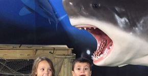 Menino salva a festa de 5 anos de melhor amiga e fotos encantam
