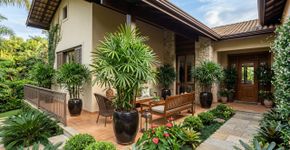Poucas pessoas sabem: a palmeira ideal para o seu jardim que não tem raiz agressiva, dispensa muita água e valoriza o imóvel