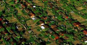 Nesta cidade da Suíça quase todo morador tem uma horta em casa