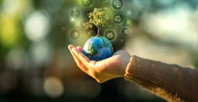 6 atitudes para viver com mais conforto e menos impacto no planeta